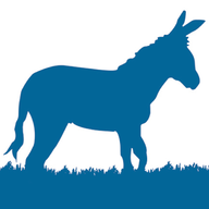 bluedonkeymedia.nl-logo